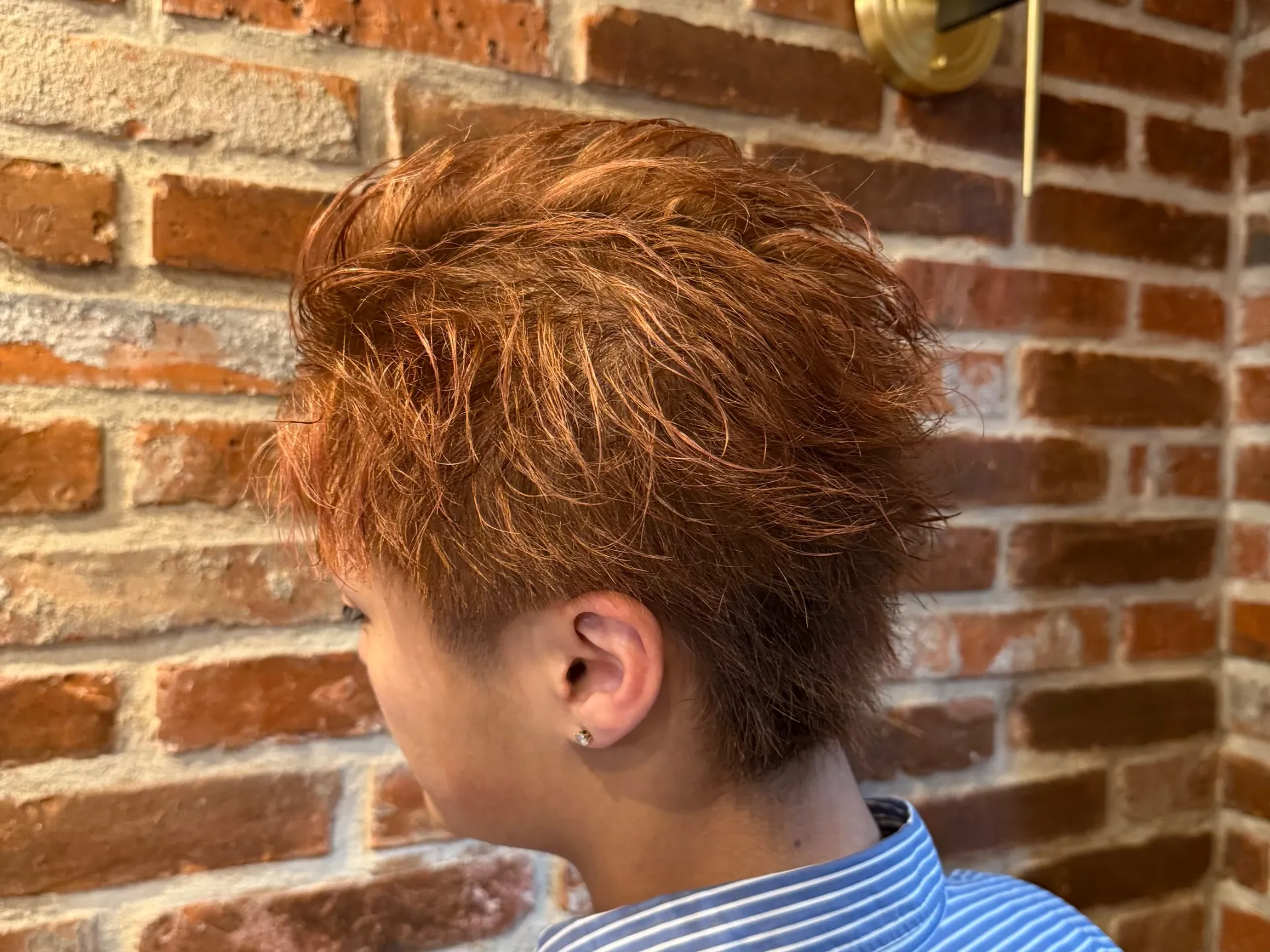 ツイスパ×ミニウルフ